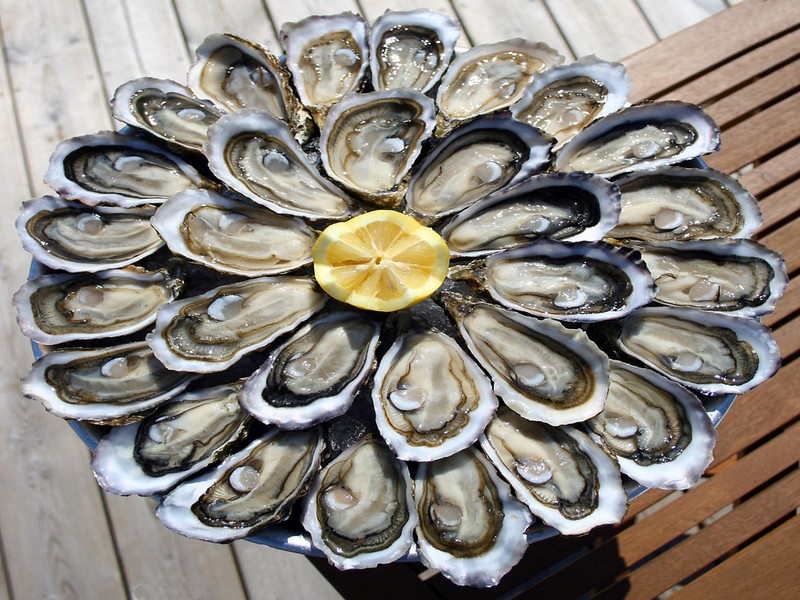 Huîtres du Bassin d'Arcachon _credit_photo_B.Ruiz_SIBA