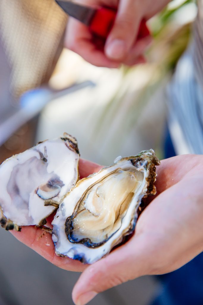 Huîtres du Bassin d'Arcachon