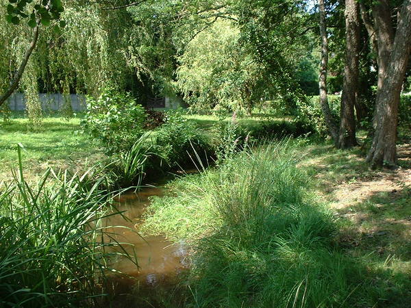 Le ruisseau du Bétey